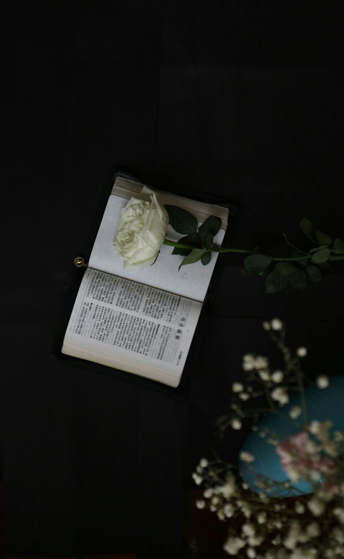 A Bible opened to specific pages with a white rose laid across it, set against a dark background.